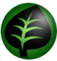 Tipo Planta